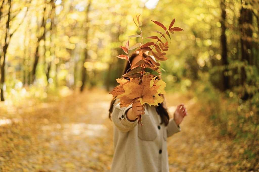 Herbst