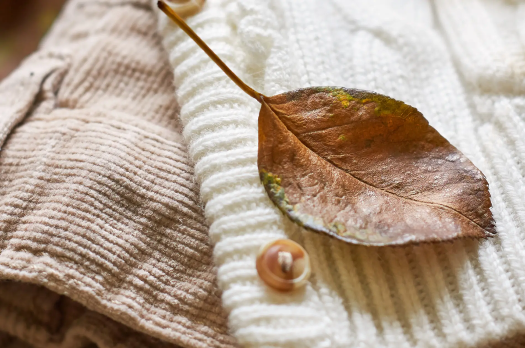 Herbst Capsule Wardrobe