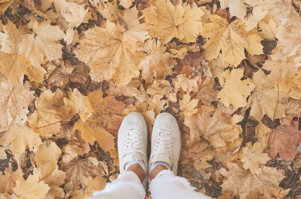 Capsule Wardrobe Herbst